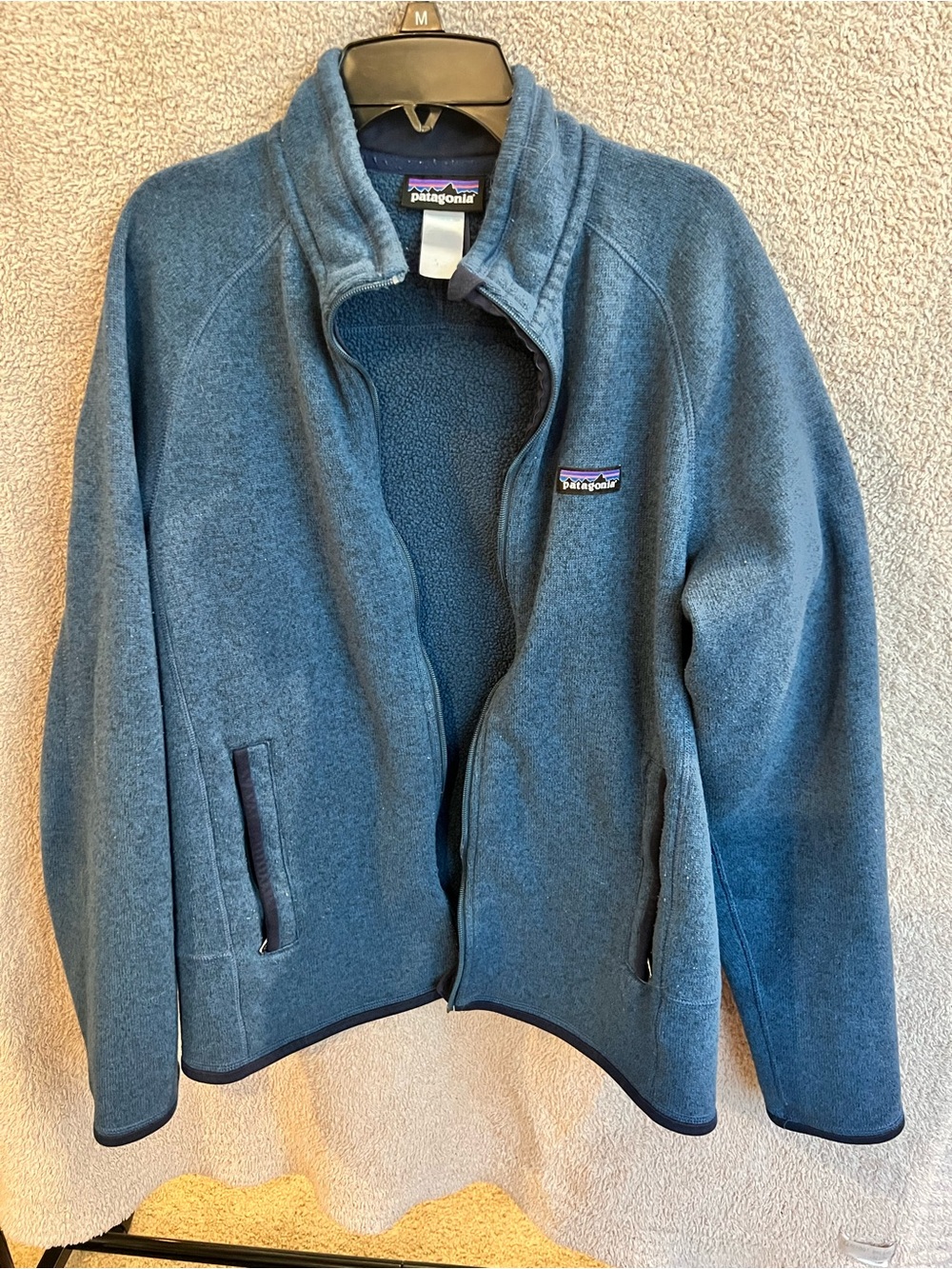 Patagonia men’s Blue Fleece Jacket